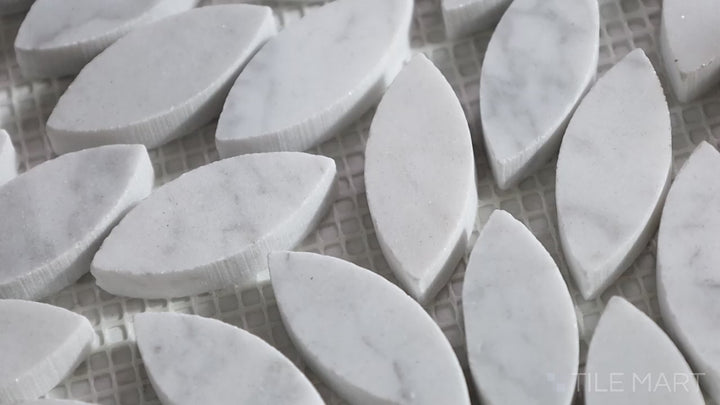 Video of Sto-Re Carrara Floral Polished Marble Mosaic. A polished Carrara marble mosaic with floral detailing, blending natural elegance with intricate design.