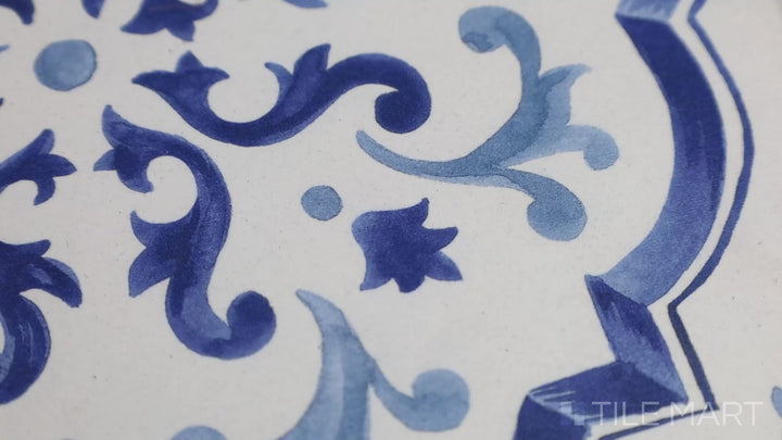 Video of Mestral Rosette 9X9 Matte Porcelain. A sophisticated matte tile with a rosette pattern, adding an elegant European charm to any space.