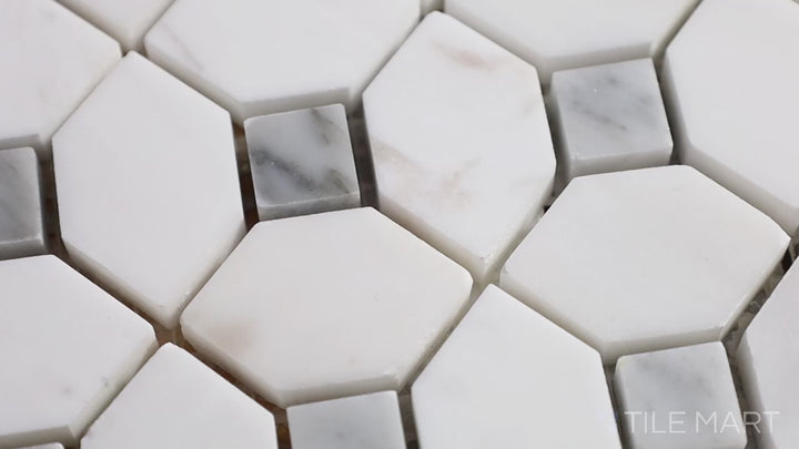 Video highlighting Bianco Dolomite Dotty Polished Marble Mosaic. A playful yet sophisticated dot-patterned white marble mosaic with a smooth polished surface.